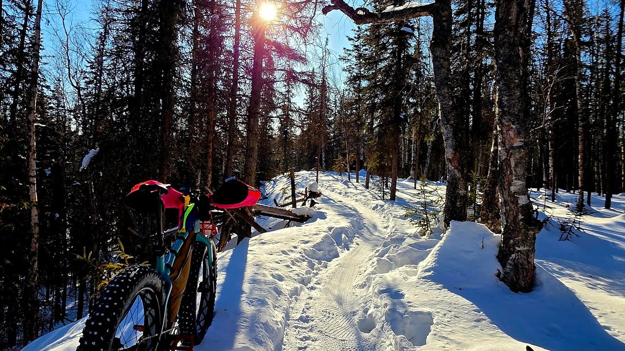 This one time........At Bike Camp.   Blue Dot, Scary Tree, Treefort, Tour of Anchorage, and more