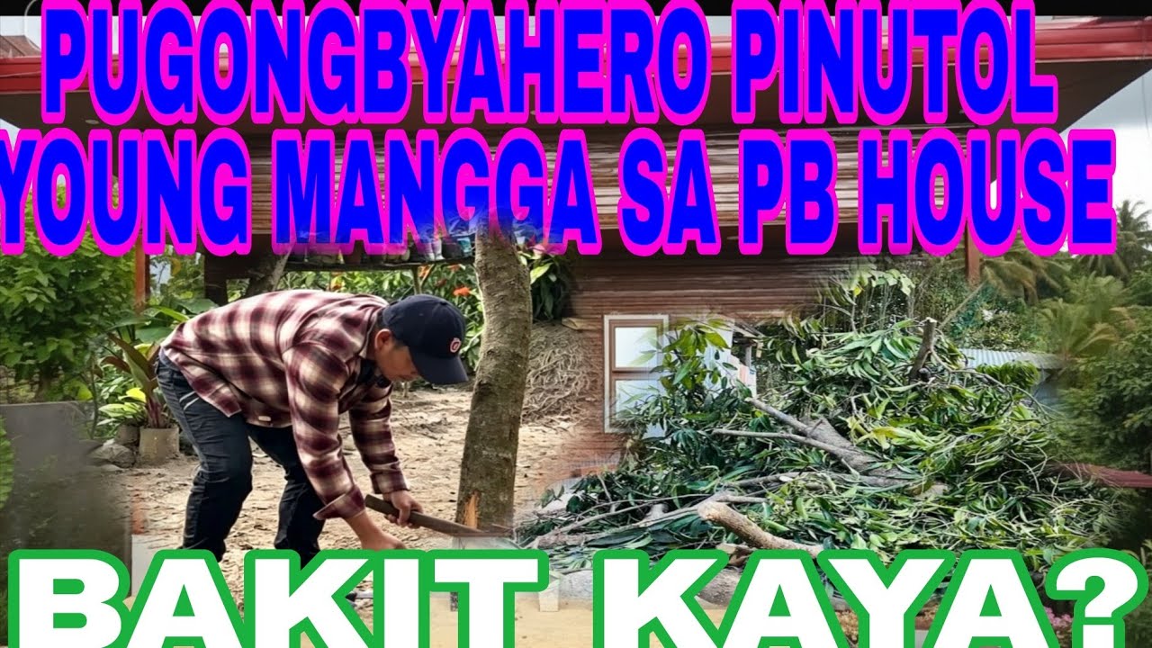 PUGONGBYAHERO PINUTOL YOUNG MANGGA SA PBHOUSE #pbteam #pugongbyahero #highlights 