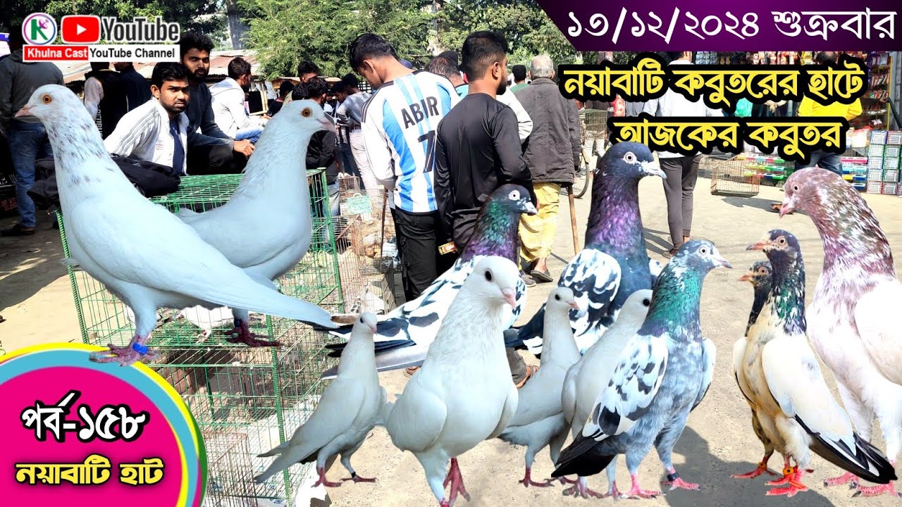 সবথেকে বড় কবুতরের হাট পর্ব-১৫৮ Largest pigeon market in Khulna খালিশপুর, নয়াবাটি, চিত্রালী, খুলনা