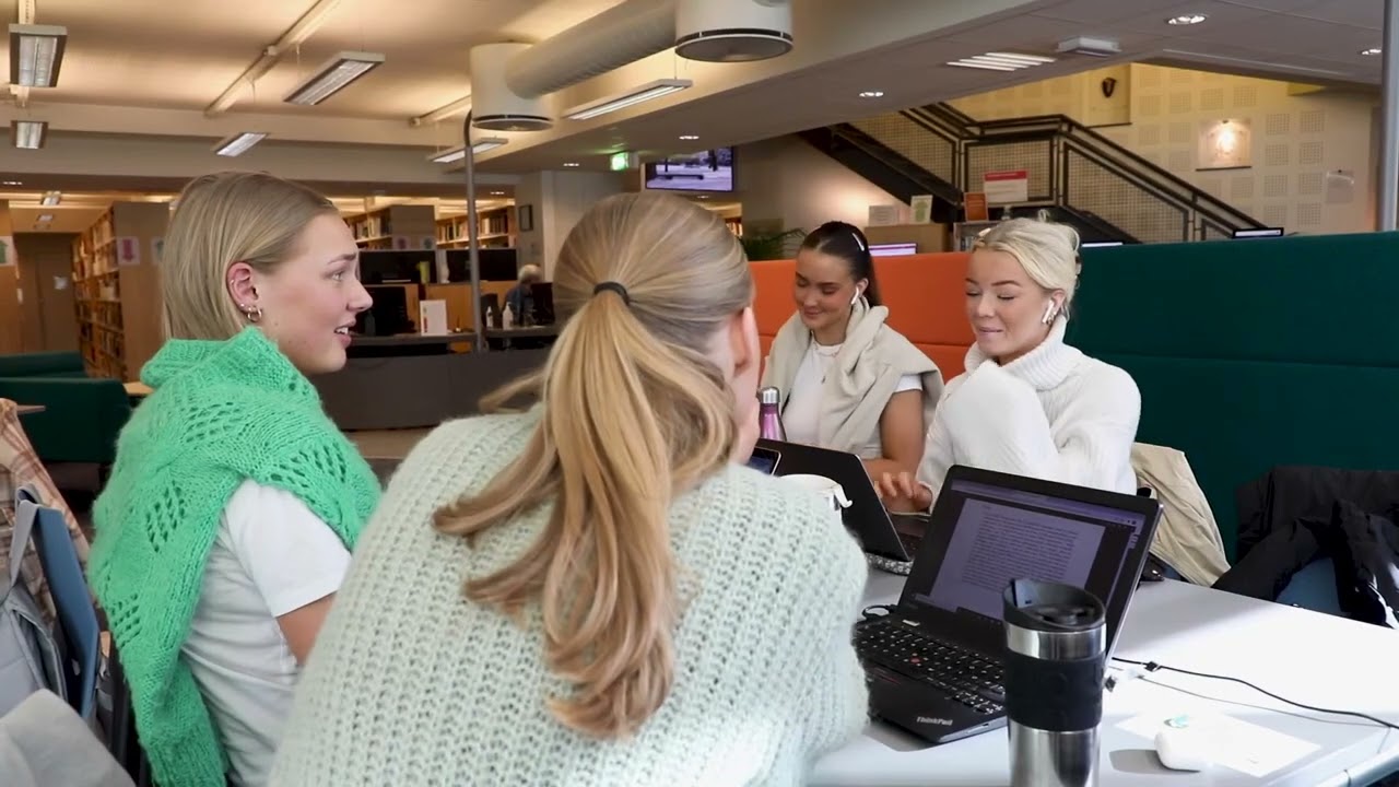 Bachelor i informasjonsvitenskap på Universitetet i Bergen