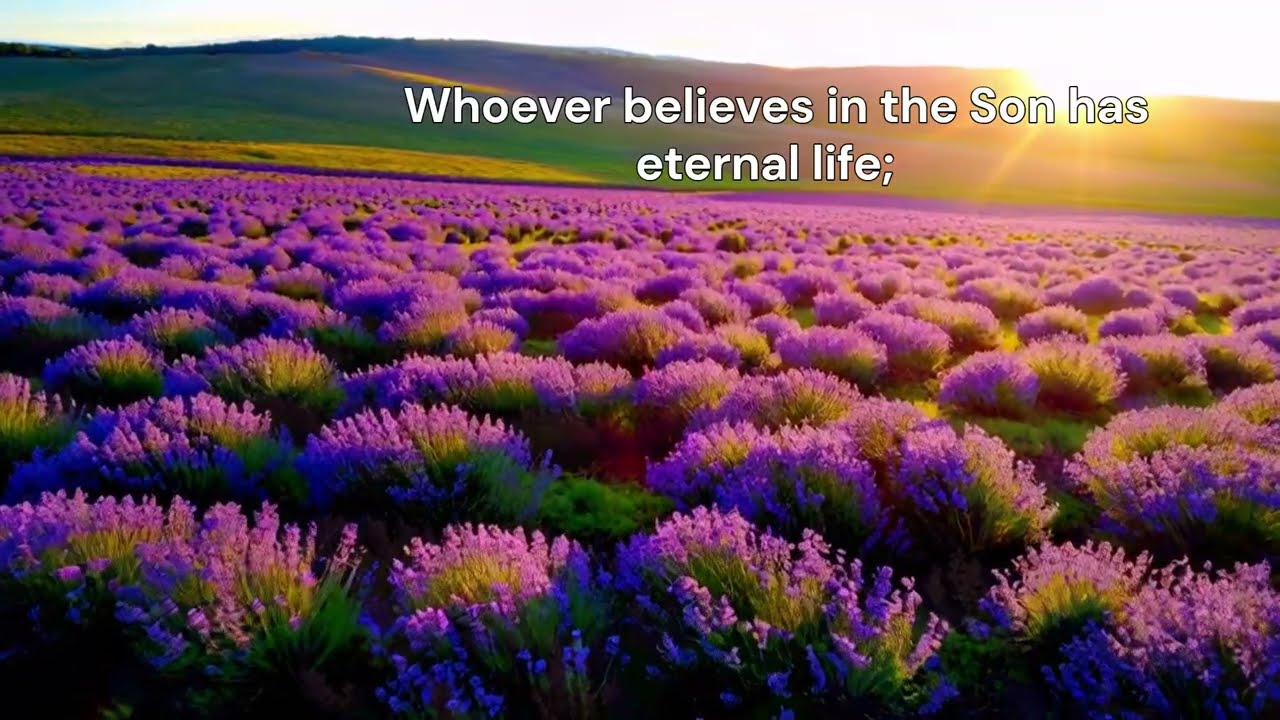 John 3 36 ESV Scripture Song