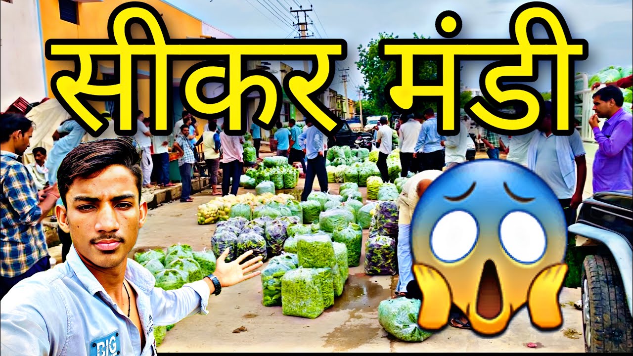 सीकर की सब्जी मंडी 😱 इतने सारे प्याज़ 😳|Sikar Ki Subji Mandi 😱| Etne Sare pyaj😳!!