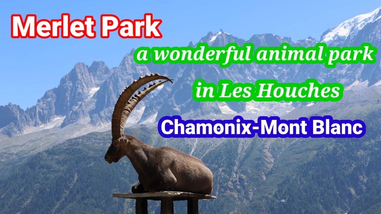 Merlet Park - a wonderful animal park in Les Houches | Chamonix Mont Blanc in summer | Haute Savoie