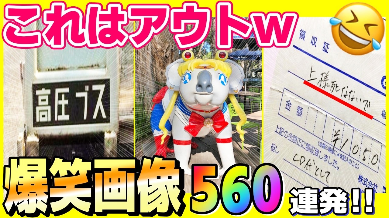 【超総集編】一気見！爆笑おもしろ画像2024年の全部まとめてみた！