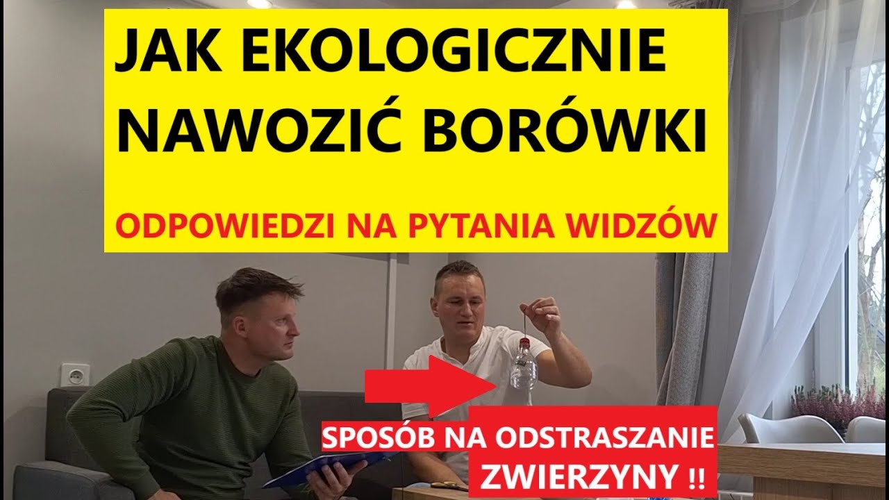 Jak Ekologicznie Nawozić Bor&oacute;wki Odpowiedzi na Najczęściej Zdawane Pytania Widz&oacute;w !