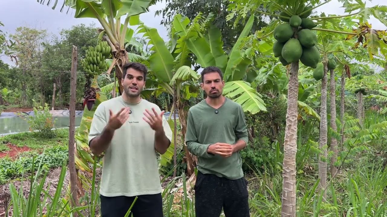 Troque PÃO por FRUTAS e melhores sua SAÚDE e salve o PLANETA.
