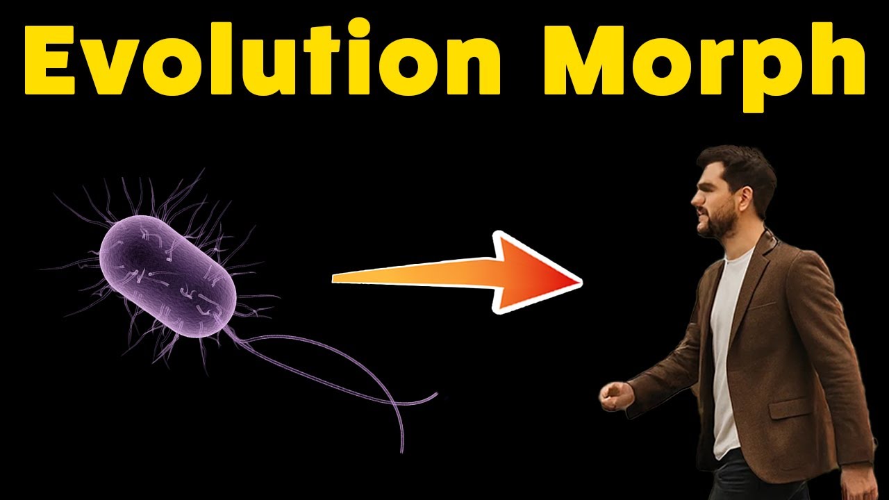HUMAN Evolution from Bacteria to Fish to You! (Edu Song Morph with lyrics)