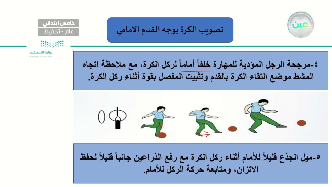 اللياقة القلبية التنفسية / القدرة العضلية  - التربية البدنية والدفاع عن النفس - خامس ابتدائي
