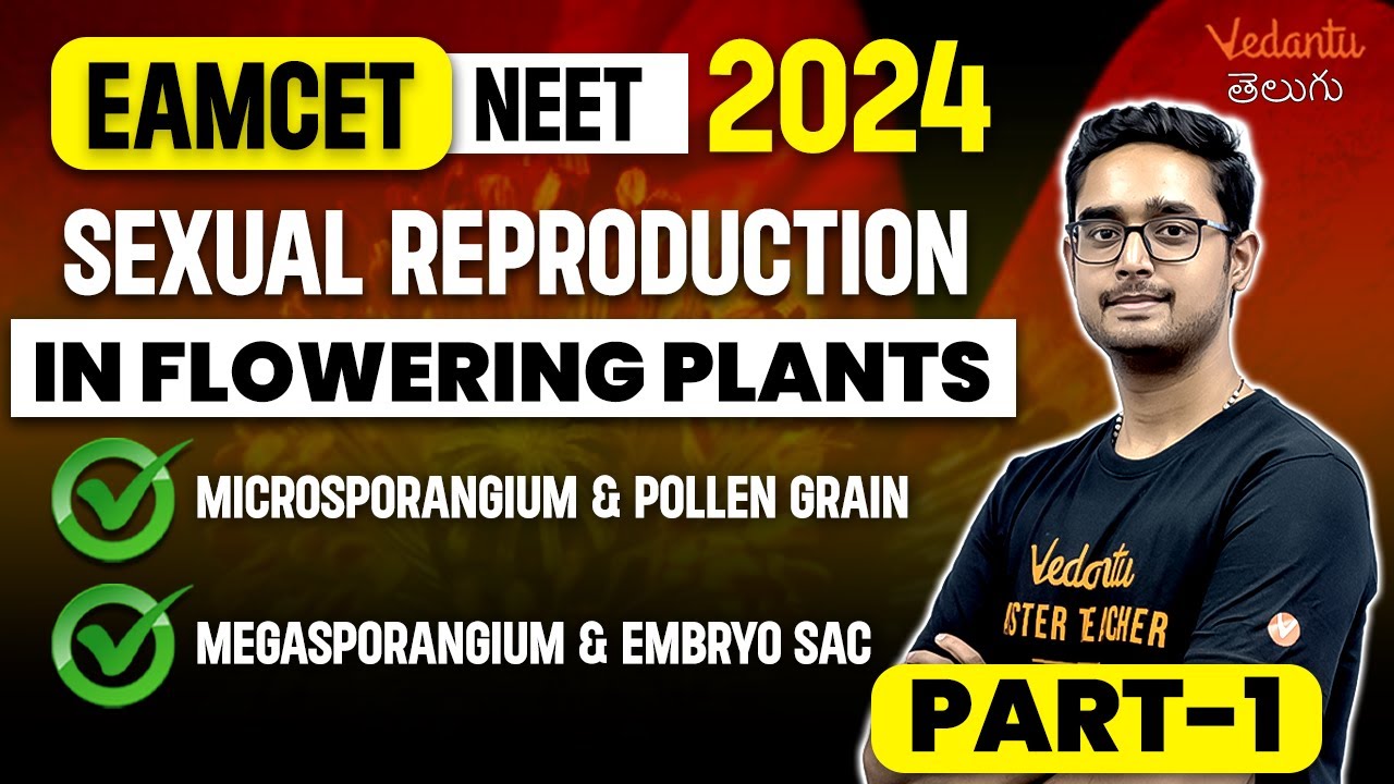 Sexual Reproduction in Flowering Plants | Microsporangium Embryo Sac | NEET/EAMCET 2024 | Vedantu