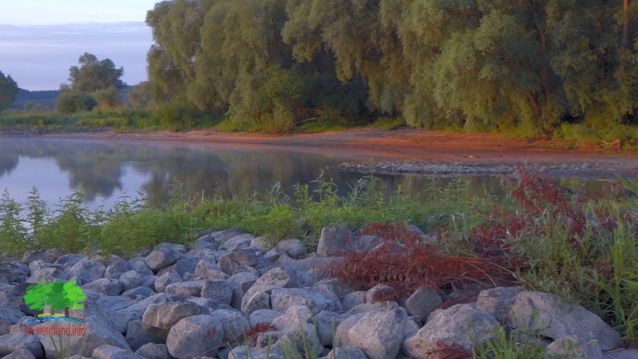 baden bei sonnenaufgang in der elbe