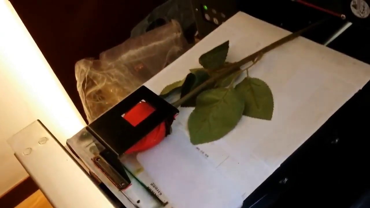 UV printer for flower printing machine