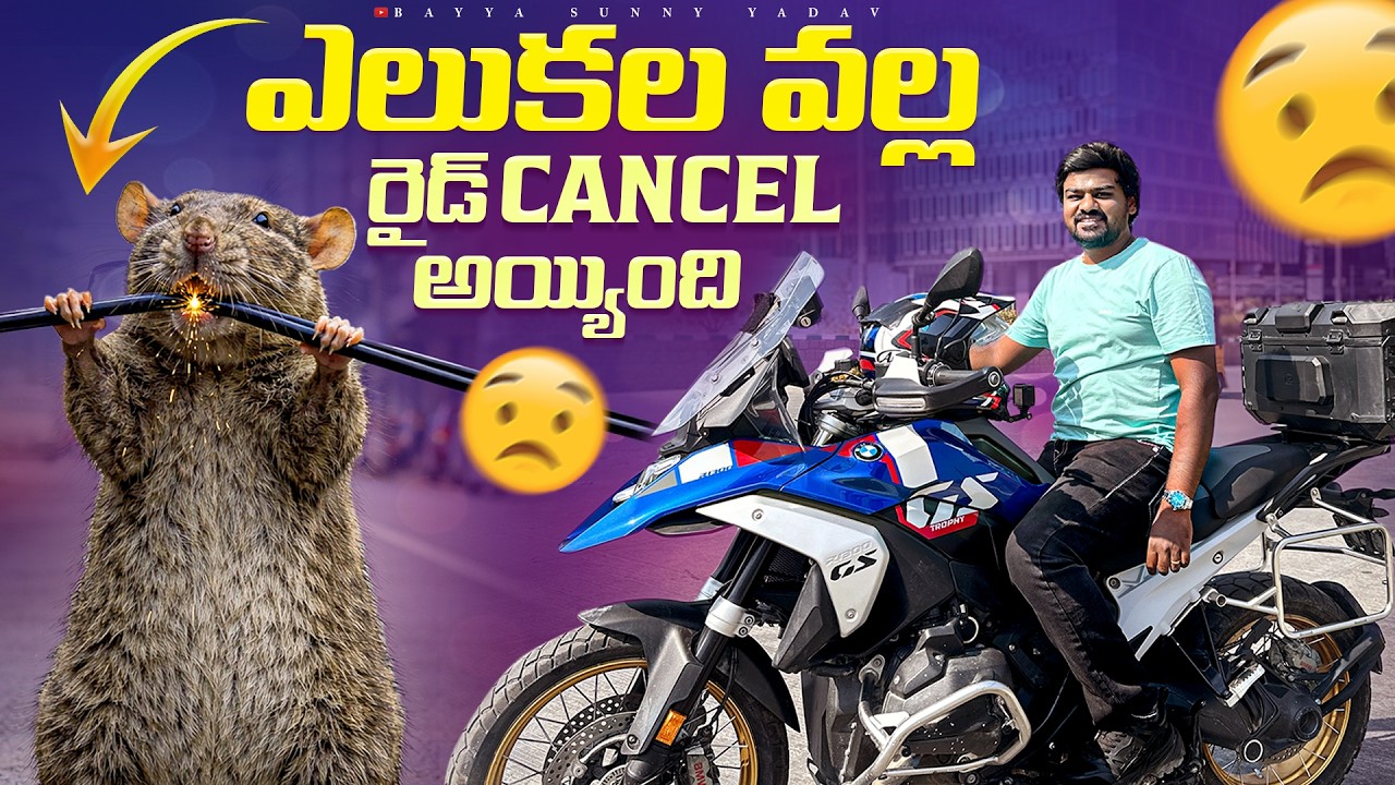 RATS DESTROYED My Brand New BMW R 1300 GS! 🐀😭