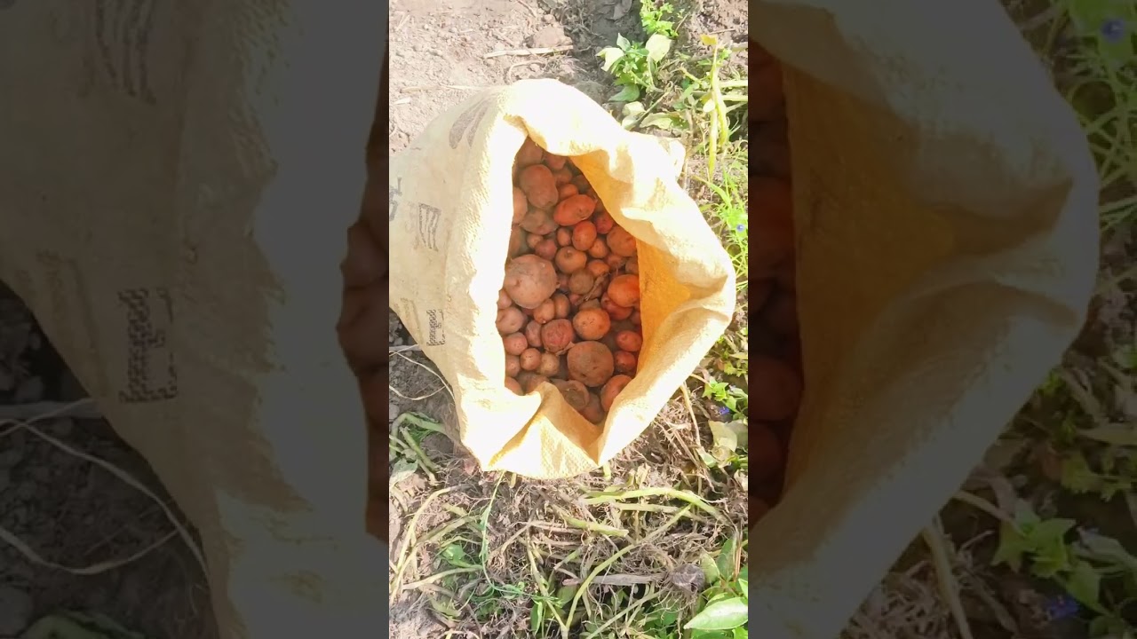 Hamara Siwan kaisa laga comment mein jarur bataiyega
