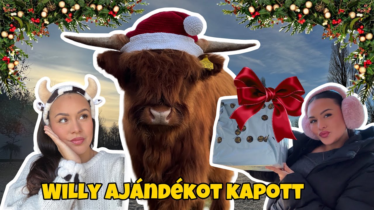 Willy ajándékot kapott🎅🏼Tanya vlog👩🏽‍🌾#highlandcows