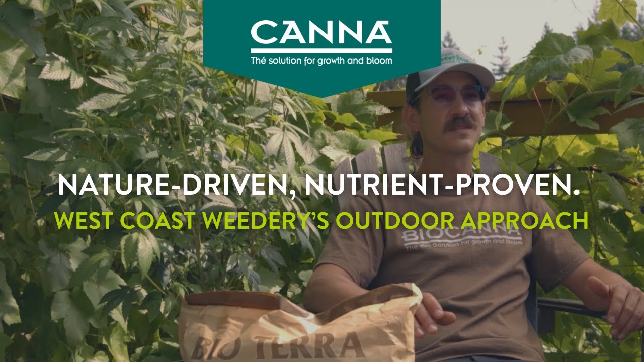 Growing Healthier Hemp Outdoors with BIOCANNA | West Coast Weedery&rsquo;s Organic Journey