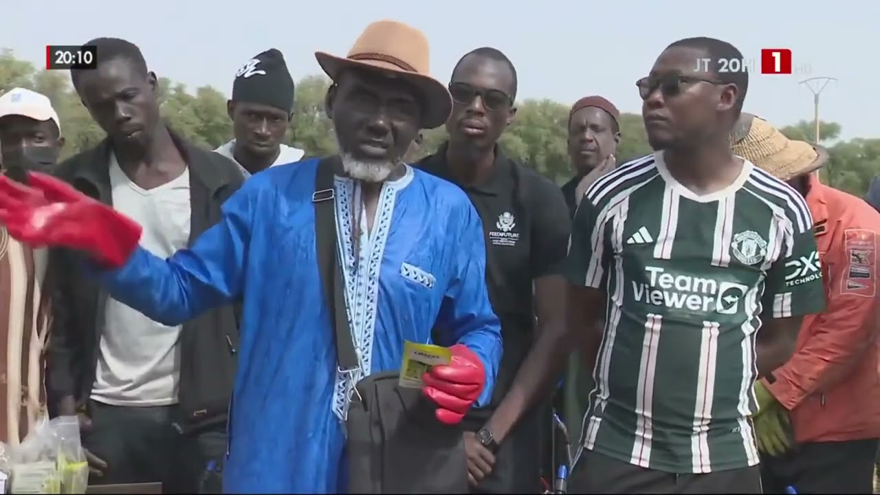 CULTURE DE DÉCRUE | Une équipe technique au chevet des producteurs de Matam