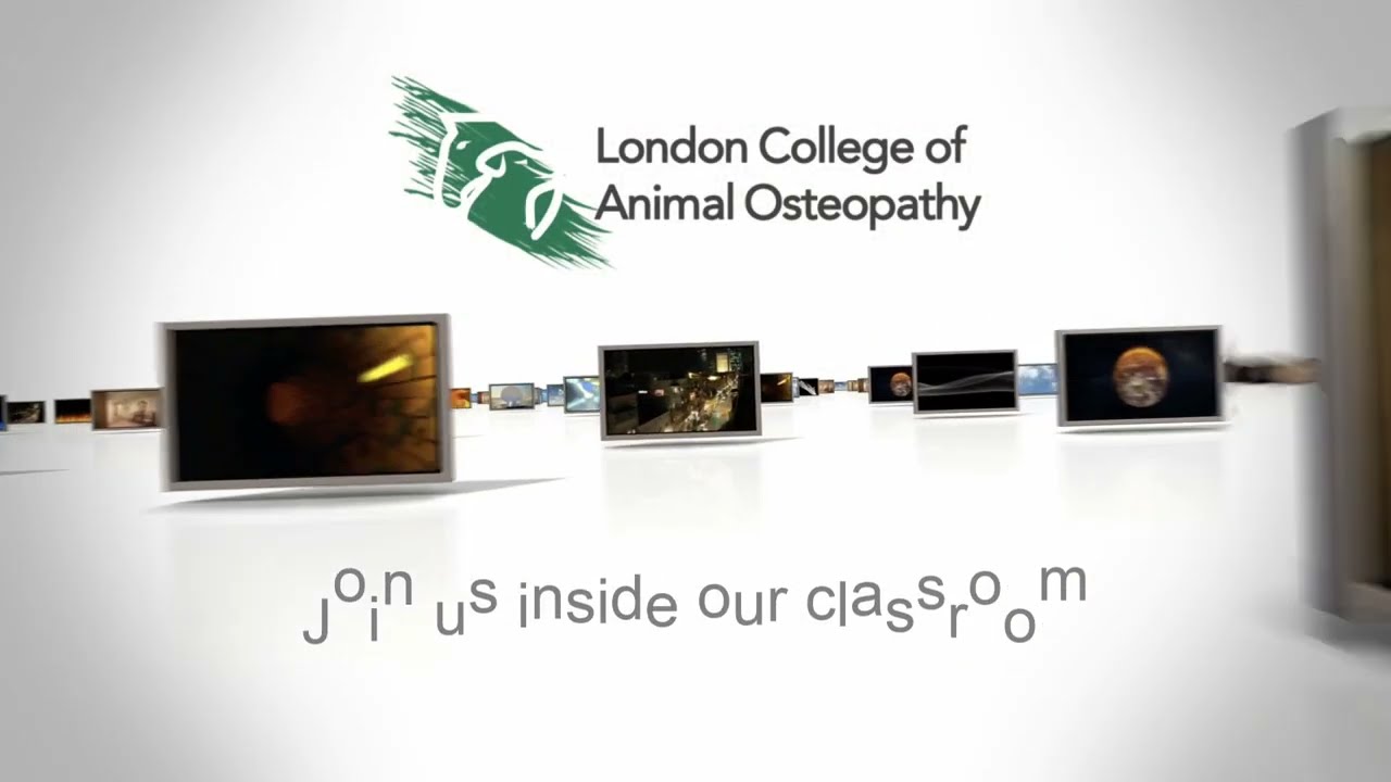LCAO Student Performs OAB Technique on Equine Forelimb