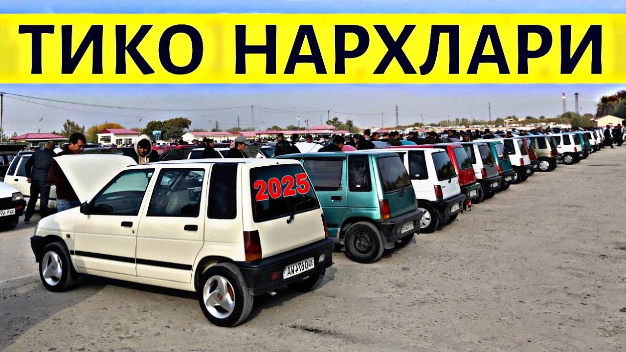 TICO NARXLARI 2025 ТИКО НАРХЛАРИ 2025.SAMARQAND MOSHINA BOZORI 2025.TIKO NARXLARI 2025