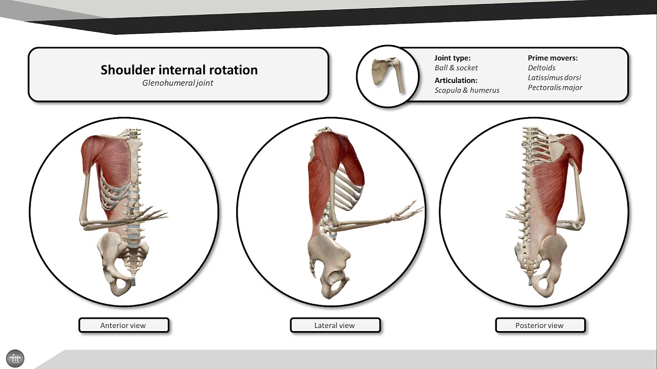 Shoulder internal rotation