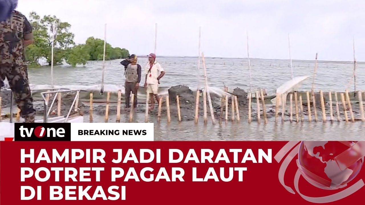 Sudah Hampir Jadi Daratan, Begini Penampakan Pagar Laut di Bekasi | Breaking News tvOne