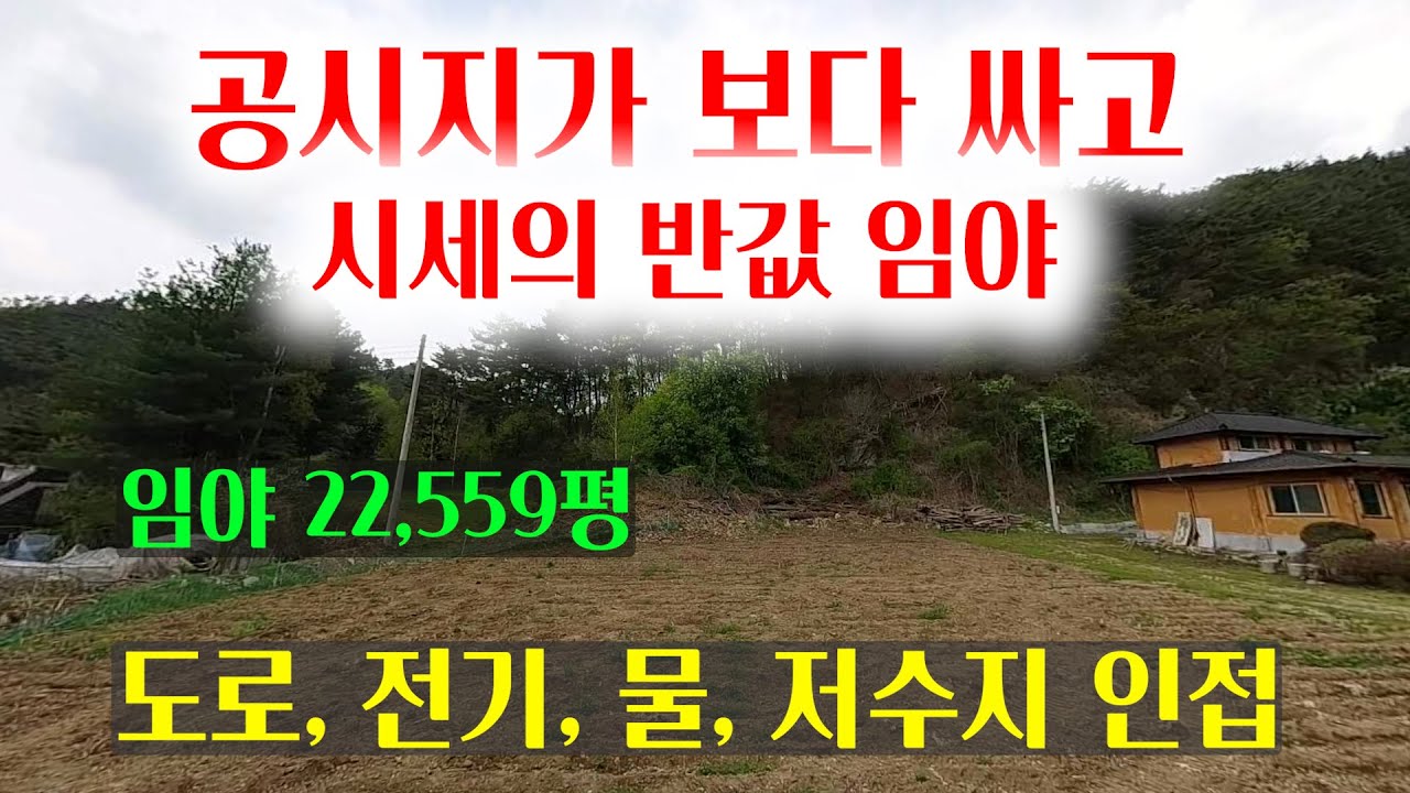 [1536][임야매매] 공시지가 보다 싸고 시세의 절반값도 안되는 저렴한 임야매매