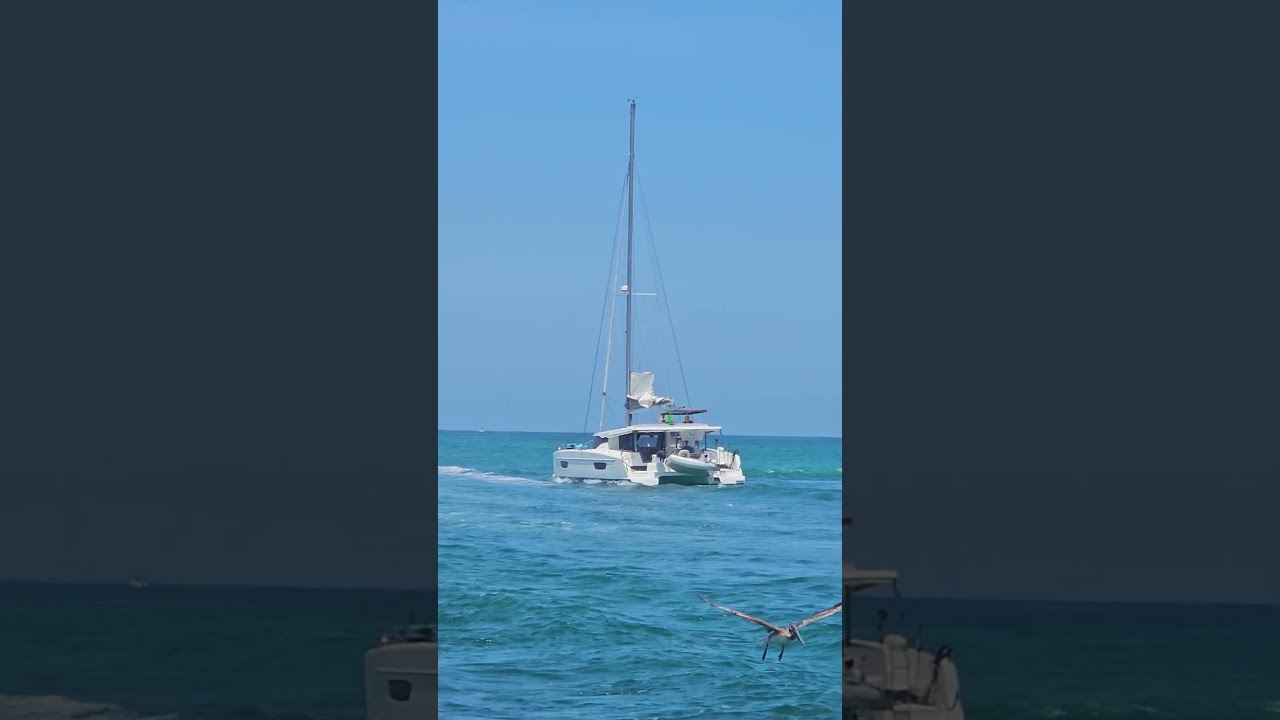 Catamaran Sailboat in the Gulf Of Mexico Venice Florida #CatamaranSailboat #GulfofMexico #VeniceFl