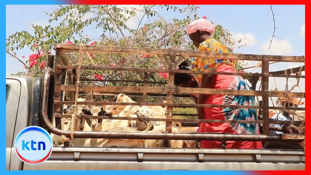 Wakulima Kitui wahimizwa kuwekeza katika ufugaji kukabili ukame
