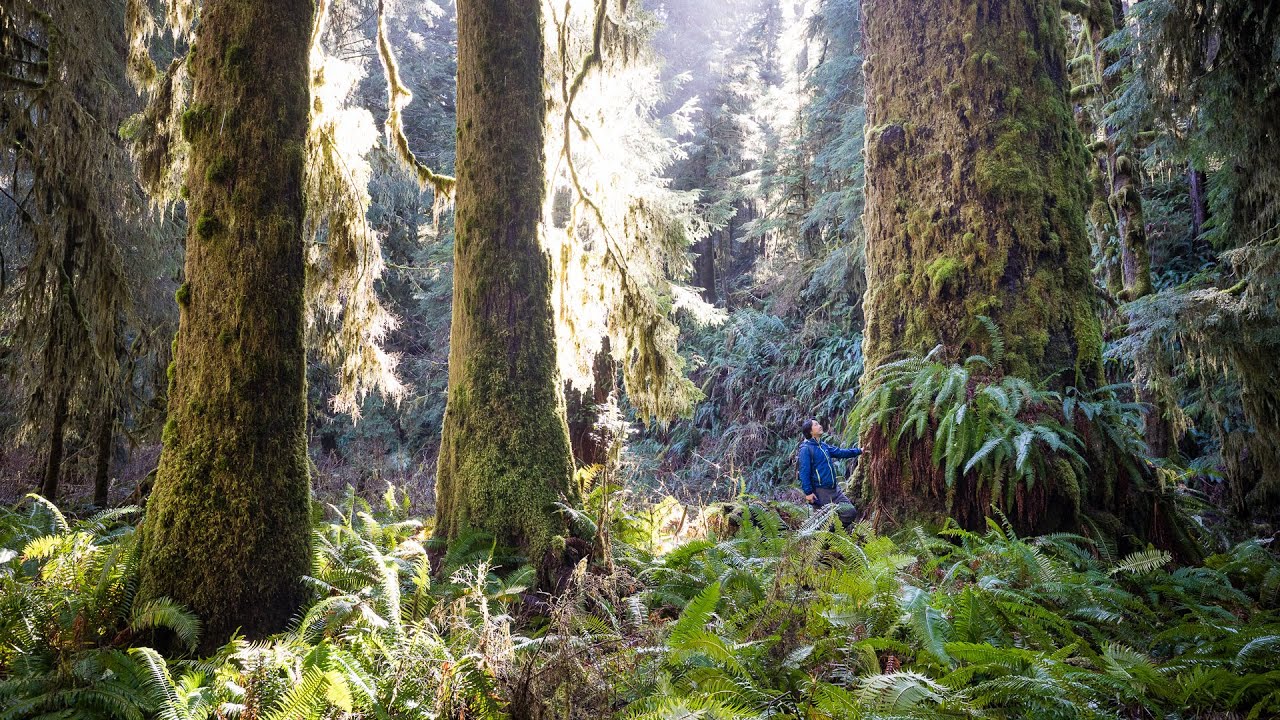 CHEK News 2023: BC signs ‘historic’ $1B agreement to protect lands and waters