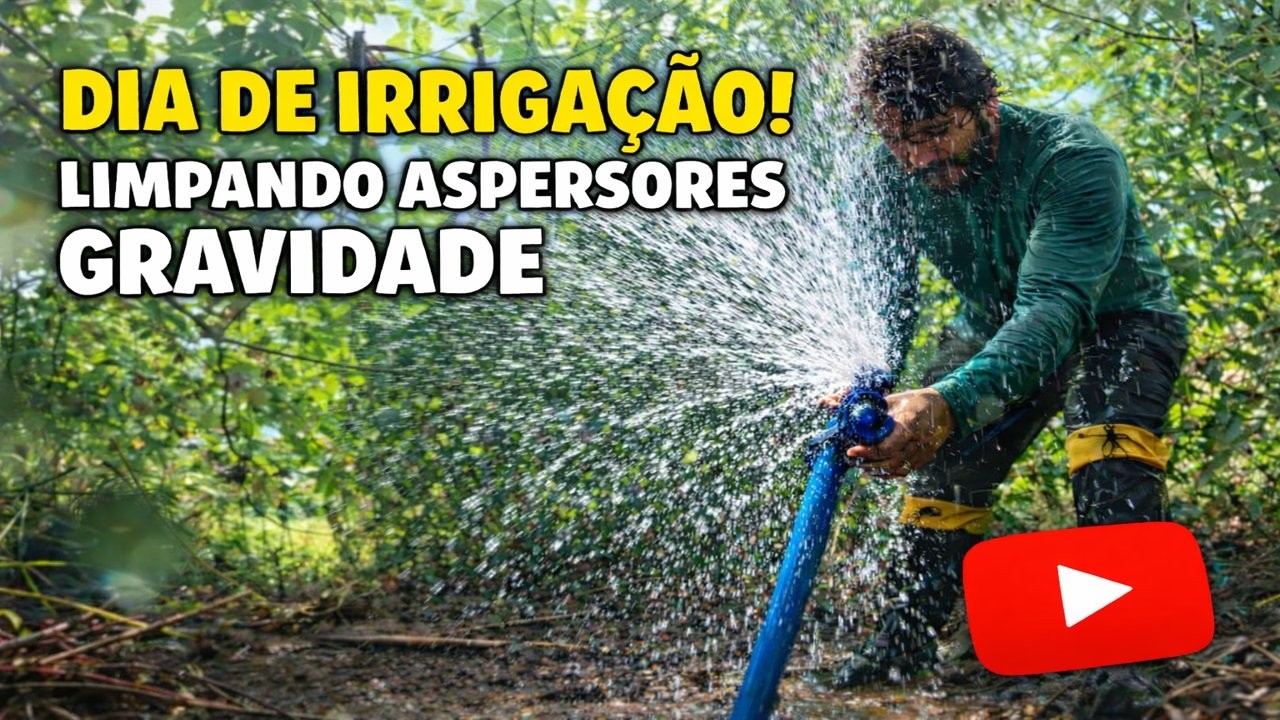 COMO É UM DIA COMUM NA IRRIGAÇÃO DE MINHA PLANTAÇÃO