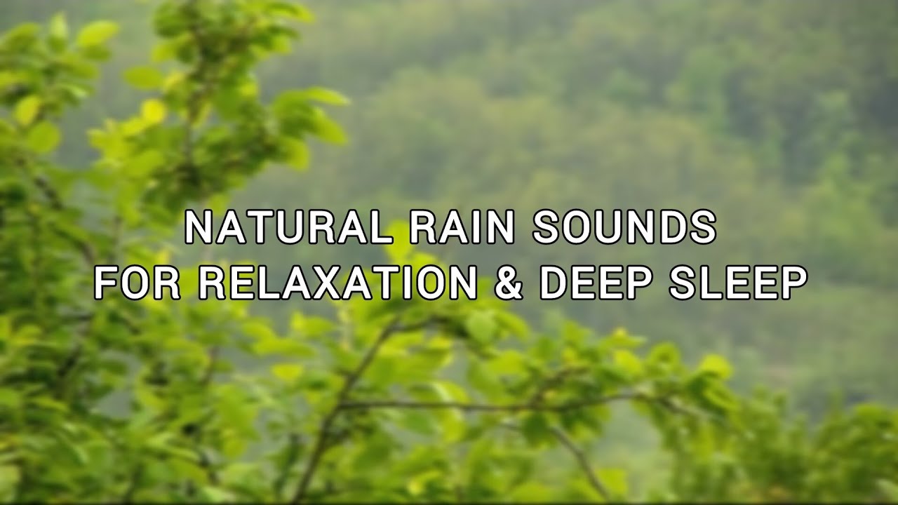 🌧️ HEAVY RAIN IN A GREEN FOREST | Natural Rain Sounds for Relaxation & Deep Sleep