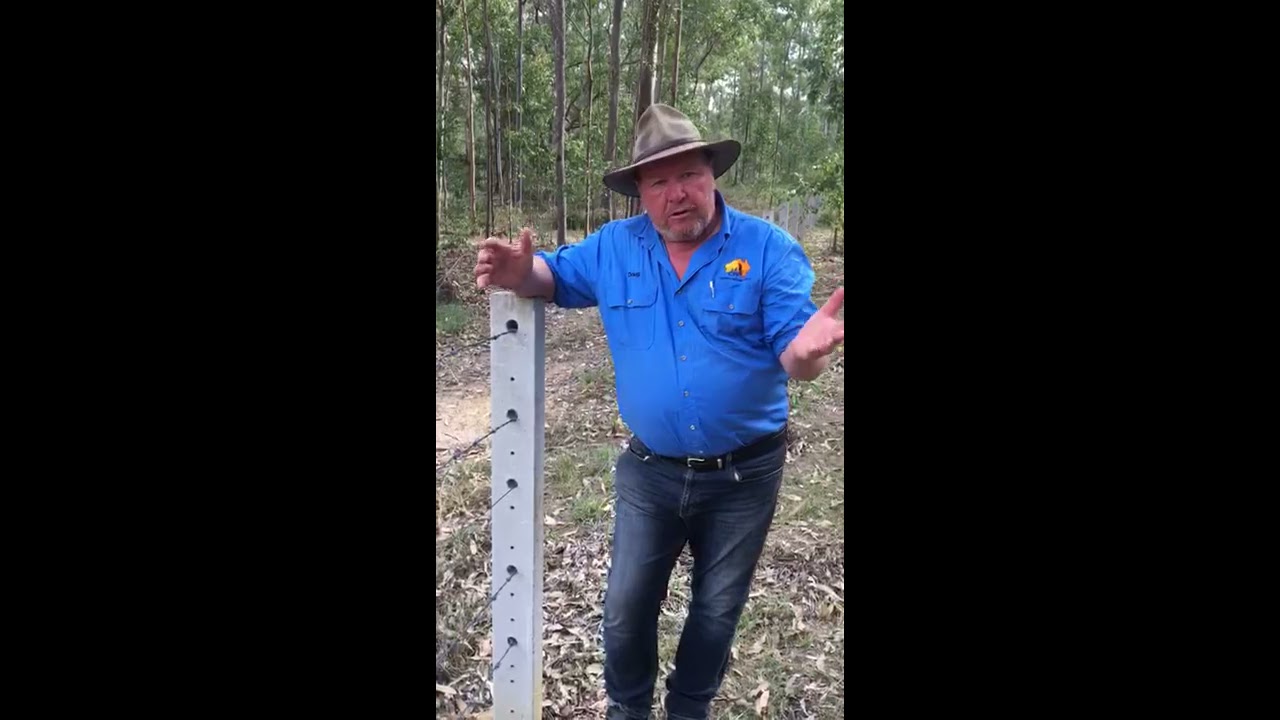 Barbed Wire and Concrete Posts