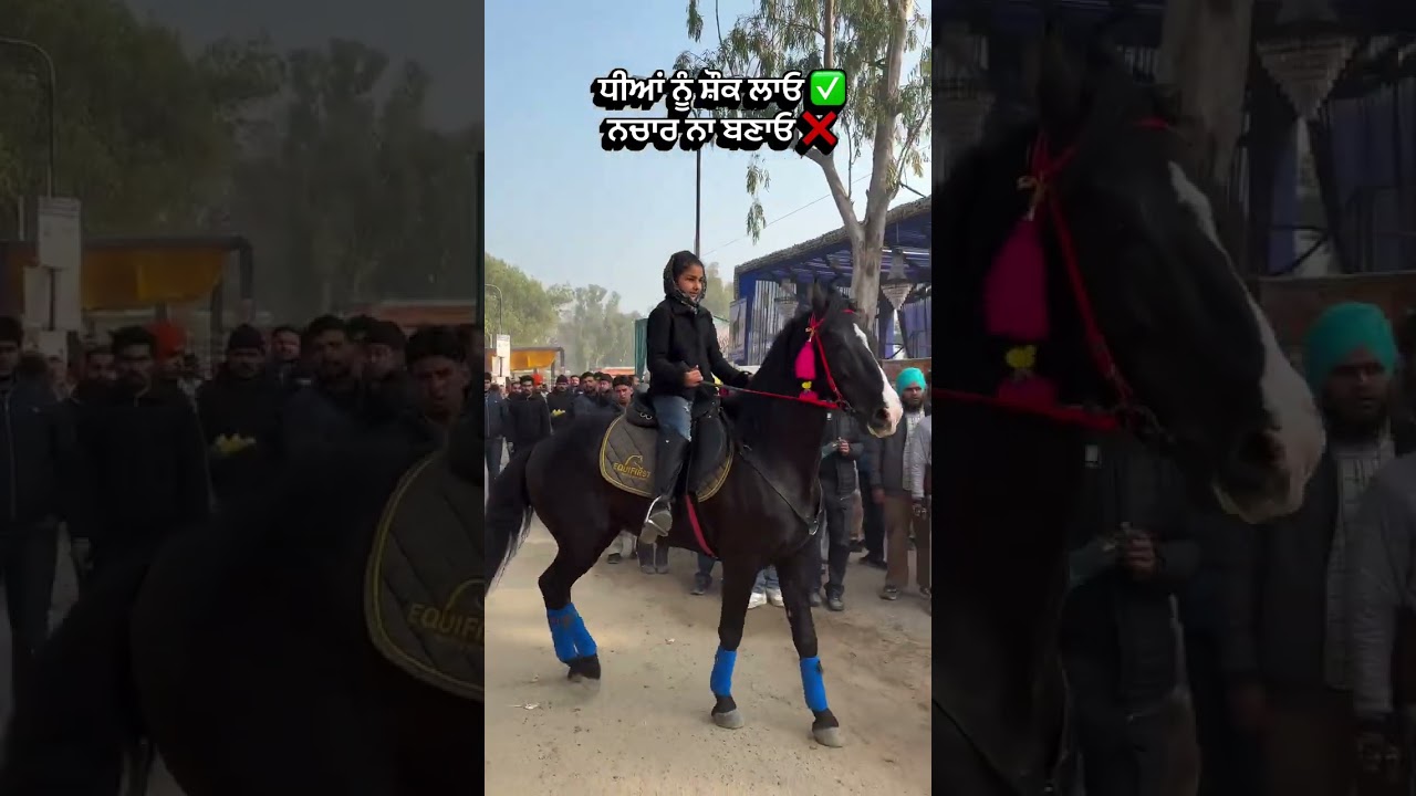 Nihang singh fojan || ਨਿਹੰਗ ਸਿੰਘ ਫ਼ੌਜਾ|| Nihang singh fojan || ਨਿਹੰਗ ਸਿੰਘ ਫ਼ੌਜਾ|| 