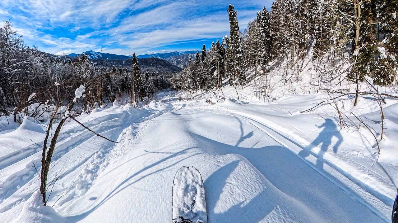 Катаем черничную тропу, фрирайд в красной поляне на libtech orca. #freeride #snowboarding #sochi