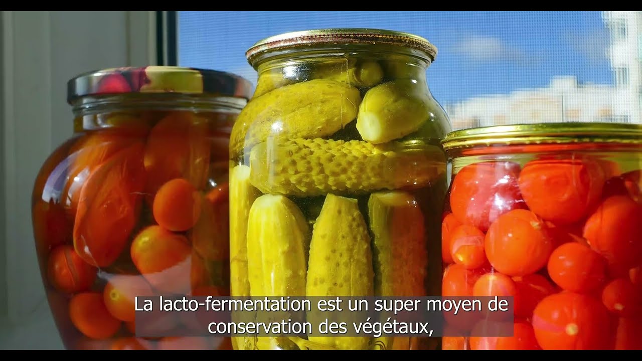Les bienfaits de la lactofermentation