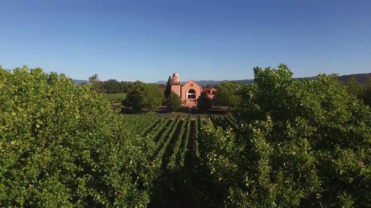 Welcome to Groth Vineyards & Winery