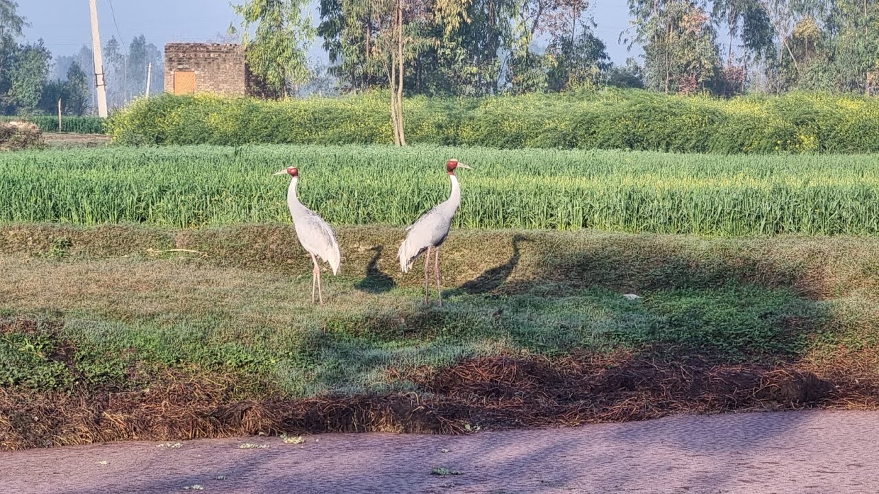 village 