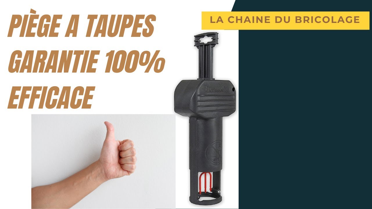 piège a taupes. #13