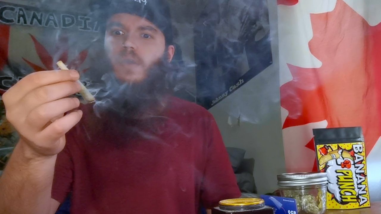 BANANA PUNCH OFFICIAL STRAIN REVIEW