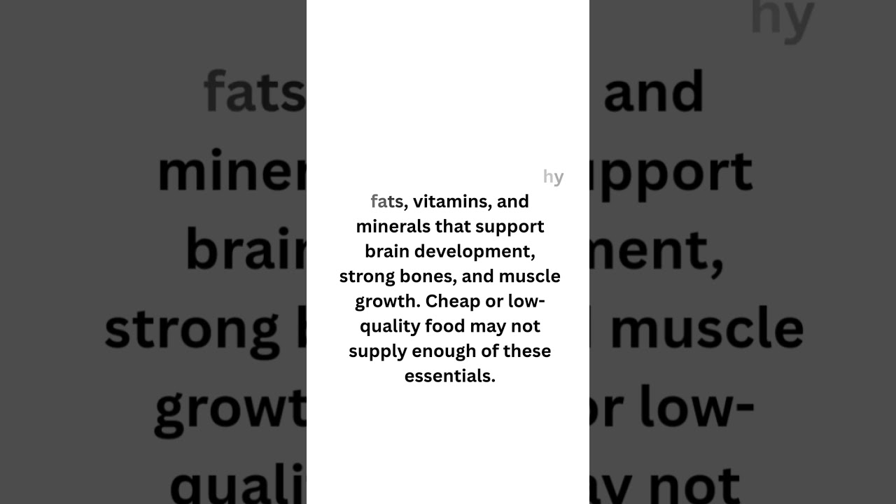Best Dry Puppy Food Top Healthy Choices for Growing Puppies 