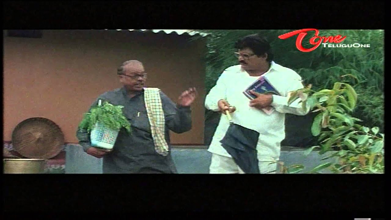Comedy Scene Between Suttivelu - Tanikella Bharani