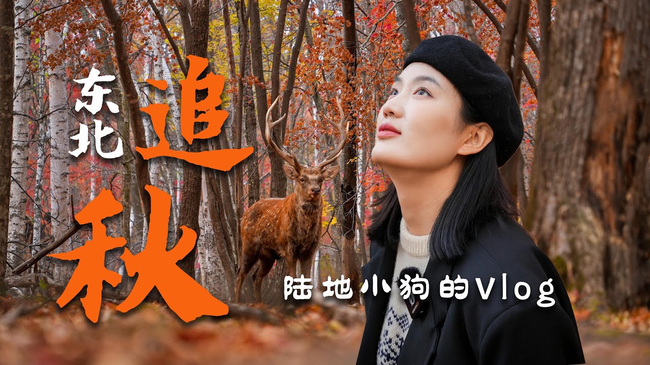 【吉林Vlog】东北的枫叶红了，美的不输加拿大，十月不出国门也能玩雪赏枫！