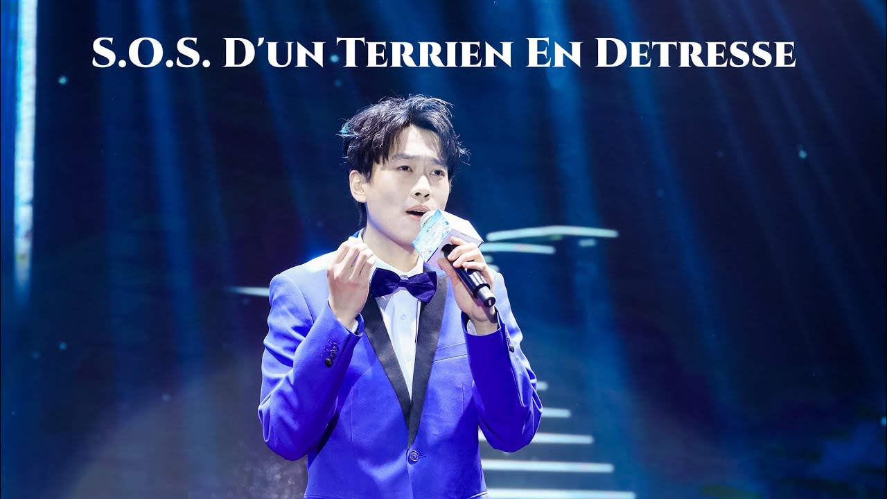 S.O.S. D'un Terrien En Detresse（cover Dimash）First prize in Shanghai University Foreign Song Contest