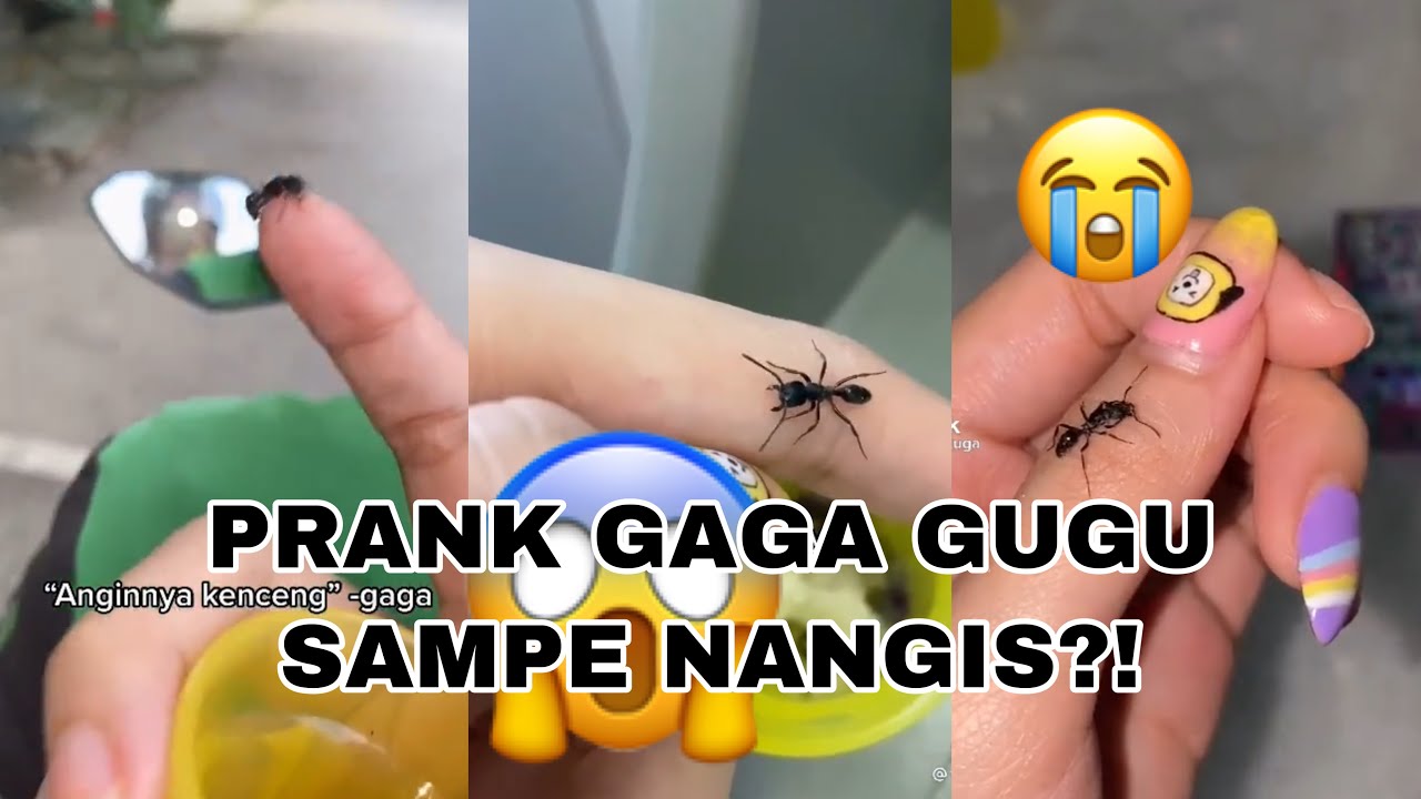 rumah semut || PRANK GAGA GUGU SAMPE NANGIS