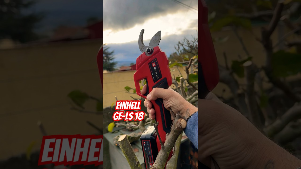 Probamos la podadora EINHELL GE-LS 18 #gardener #topiary #podaenaltura #podadora #shorts