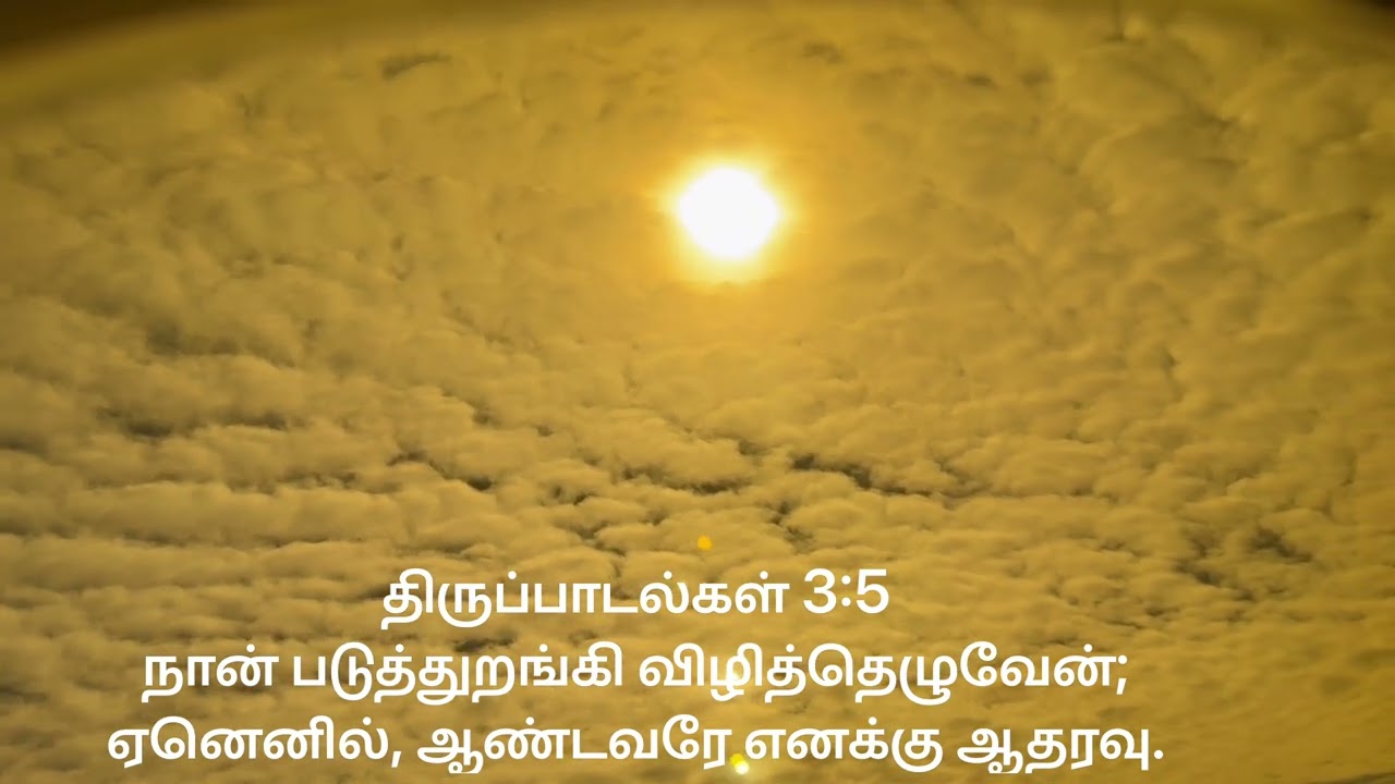 திருப்பாடல்கள் 3