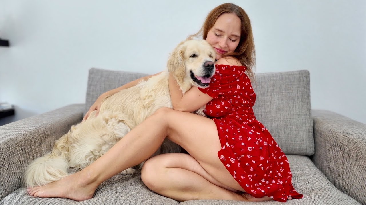 Funniest Golden Retriever Reactions Compilation – Crazy Dog Moments!