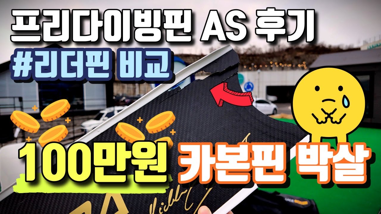 100만원 프리다이빙핀 사야할까?🙄 | 카본핀vs리더핀 장비 추천 | 세트마핀 박살 AS후기🫢