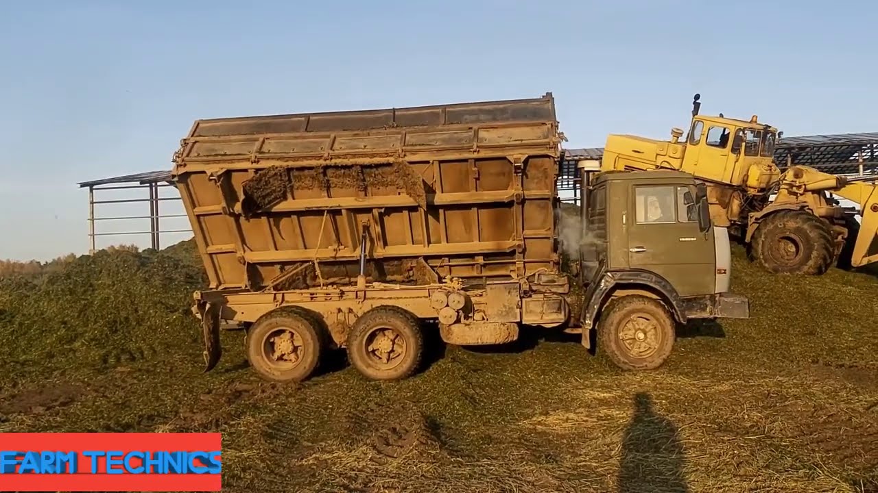 Последний день заготовки силоса. На уборке отавы клевера.