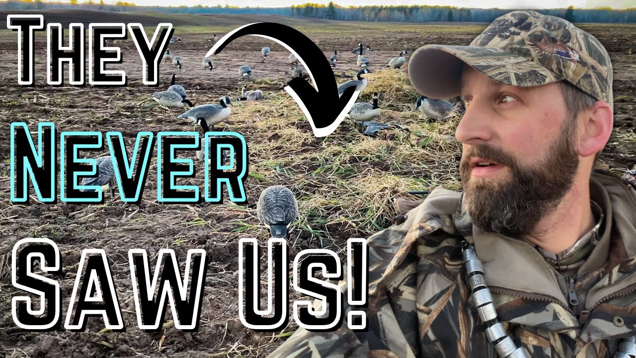 How To Hide Your Goose Blinds - Hunting a Field With No Cover!
