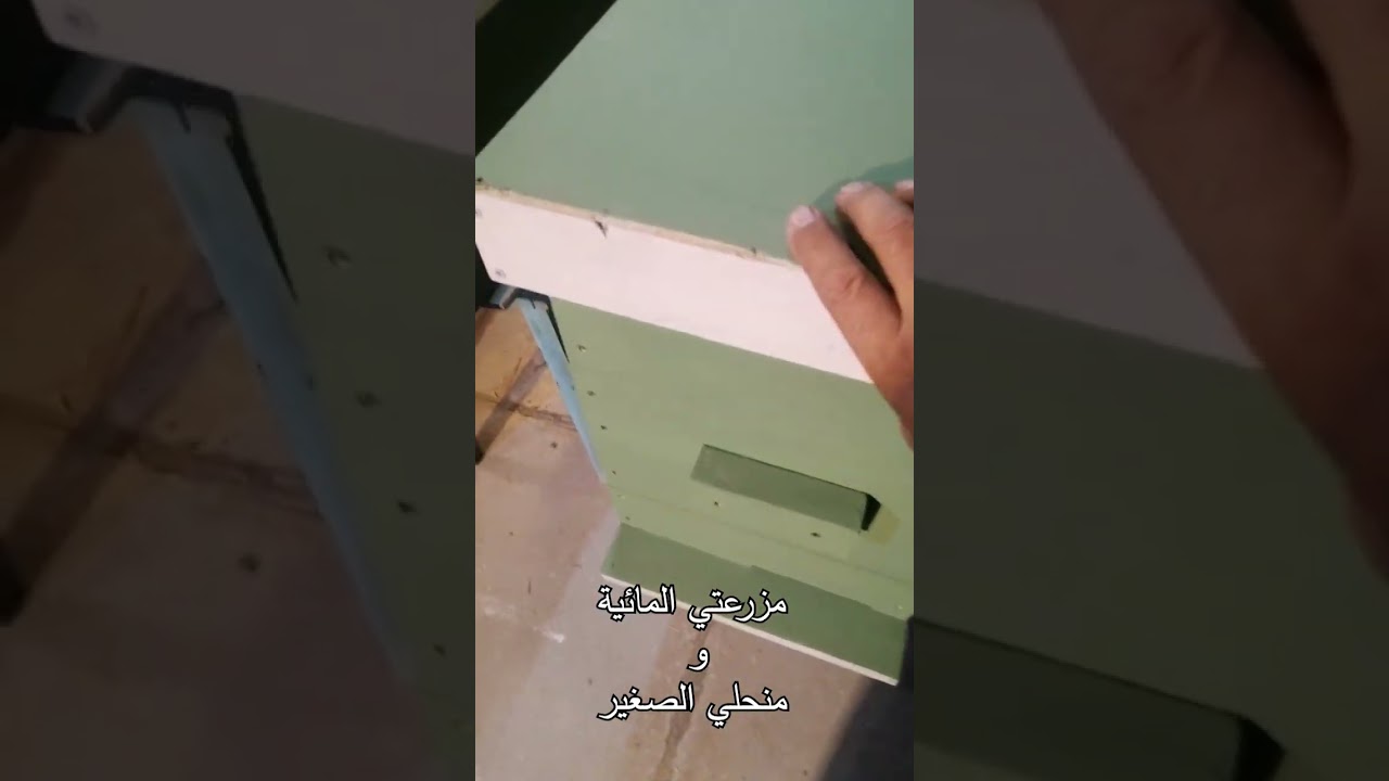 طريقة فحص براويز الخلية الطولية والخلية العربية و شروط الانضمام إلى كروبات نظام ابو سلمان 